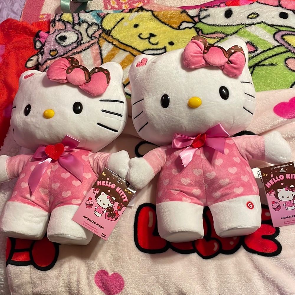 BRAND NEW 2024 HELLO KITTY VALENTINES DAY SIDE STEPPER, NWT